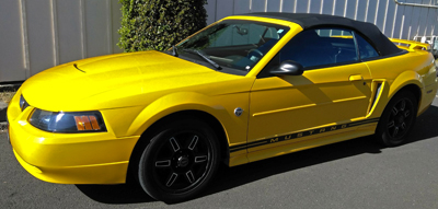 August 2023 Mustang of the Month 
