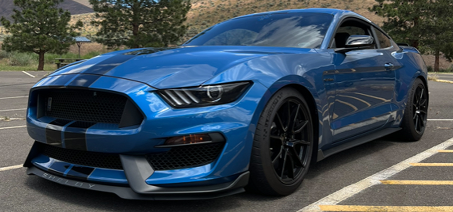 March 2023 Mustang of the Month