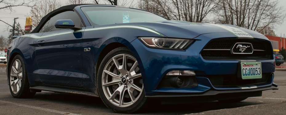 October 2023 Mustang of the Month